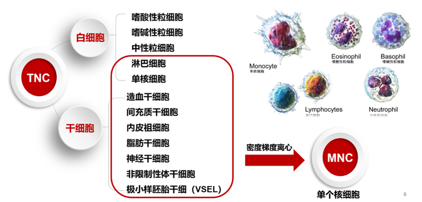 微信图片_20221123094408.png